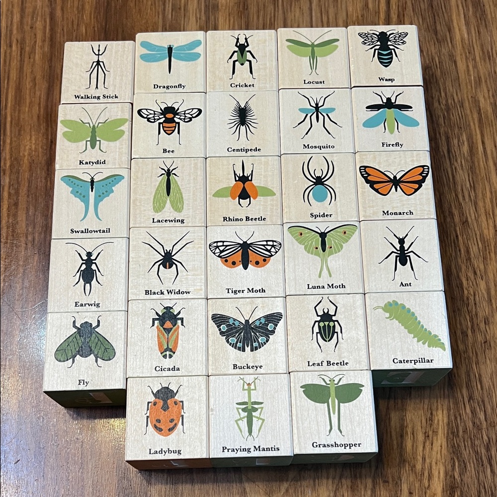 Uncle Goose Bug Blocks (with books and bugs figurines)